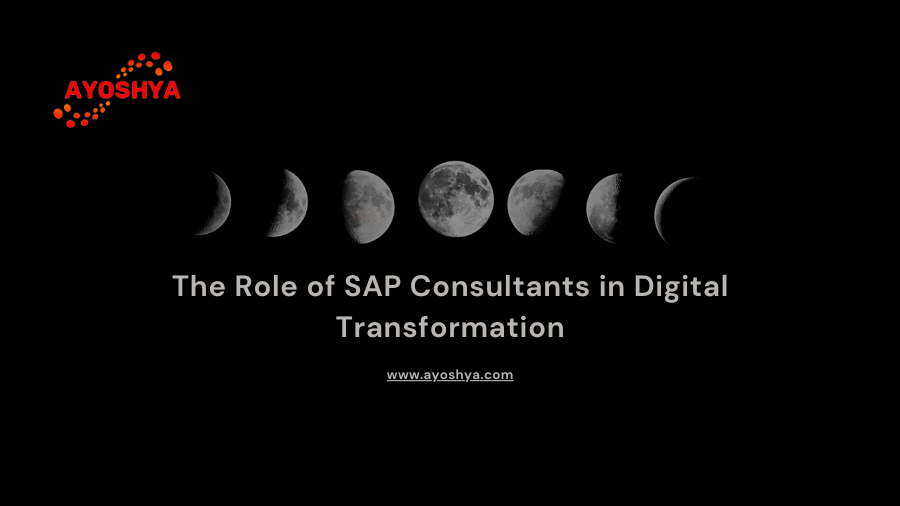 Role of SAP Consultants