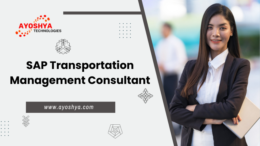 SAP Transportation Management Consultant