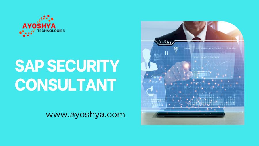 SAP Security Consultant