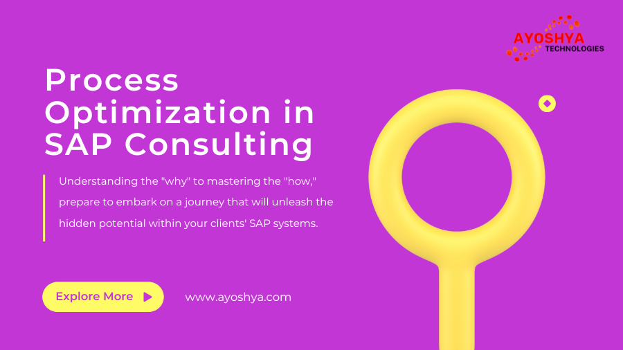 Process Optimization in SAP Consulting