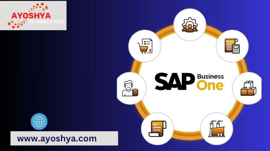 sap business one partner