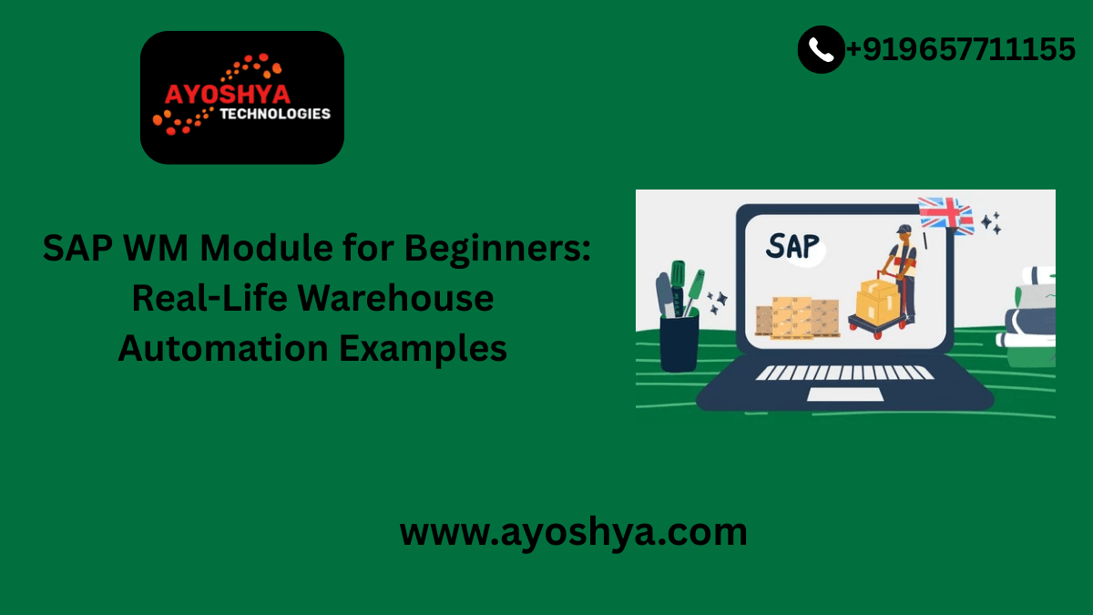 Automated warehouse system using SAP WM Module